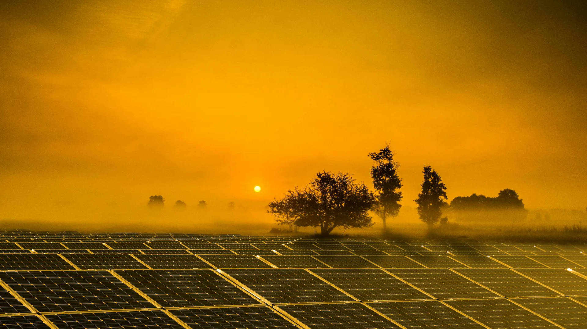 Solar panels at dusk in West Texas